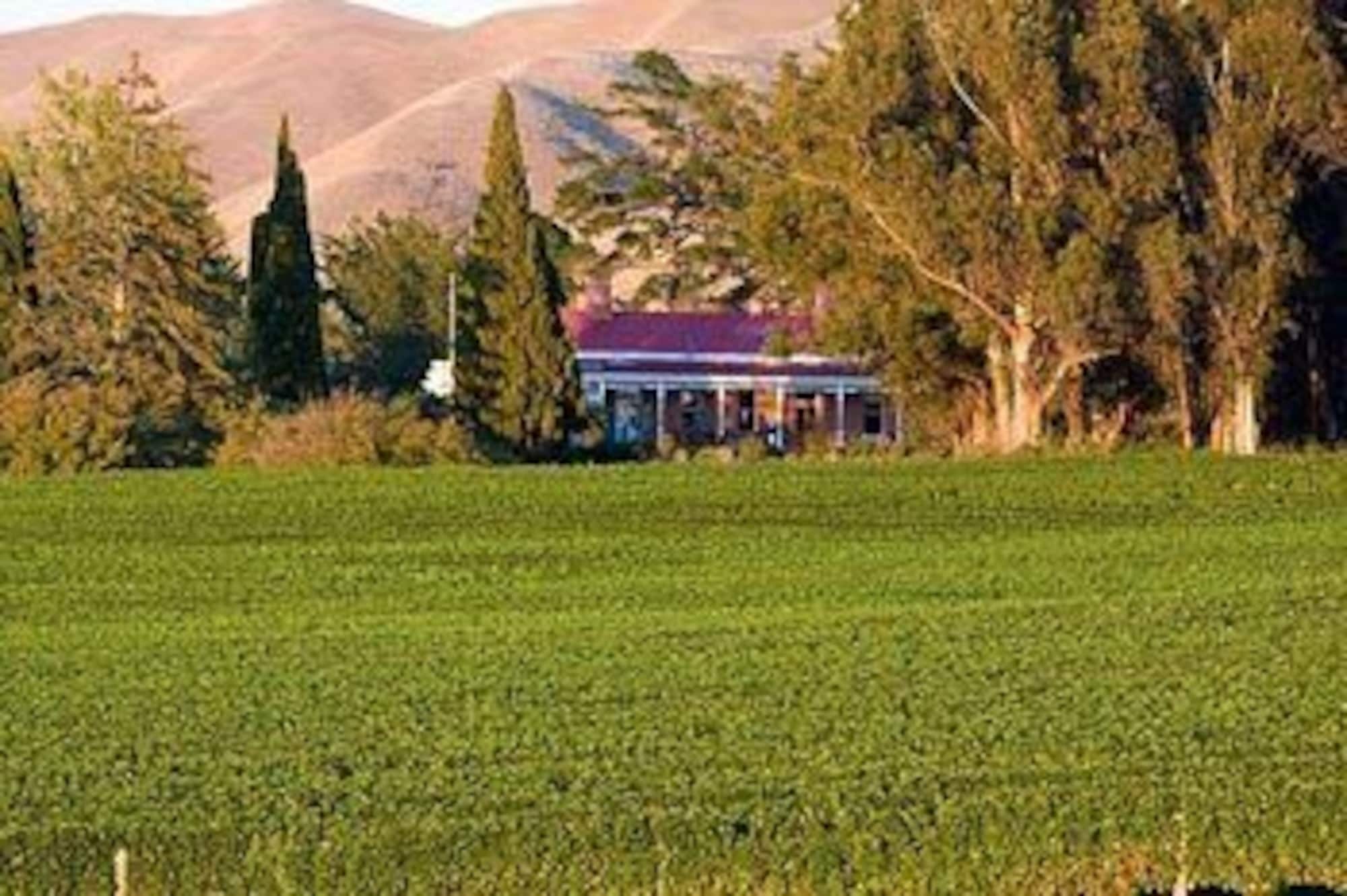 Lower Dashwood 乌戈布鲁克庄园旅馆酒店 外观 照片